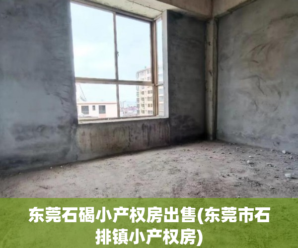 东莞石碣小产权房出售(东莞市石排镇小产权房) 东莞石碣小产权房出售(东莞市石排镇小产权房)