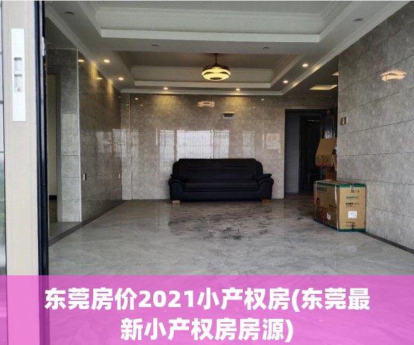 东莞房价2021小产权房(东莞最新小产权房房源)