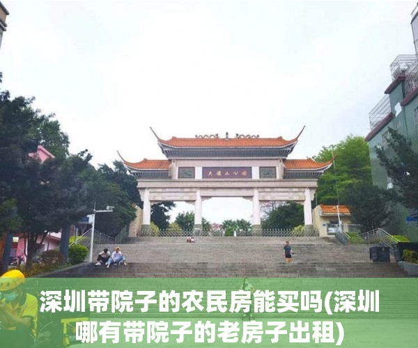 深圳带院子的农民房能买吗(深圳哪有带院子的老房子出租)