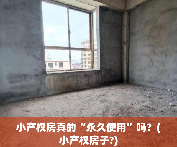 小产权房真的“永久使用”吗？(小产权房子?)