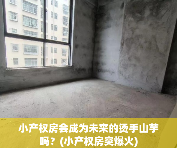 小产权房会成为未来的烫手山芋吗？(小产权房突爆火)