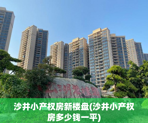 沙井小产权房新楼盘(沙井小产权房多少钱一平)