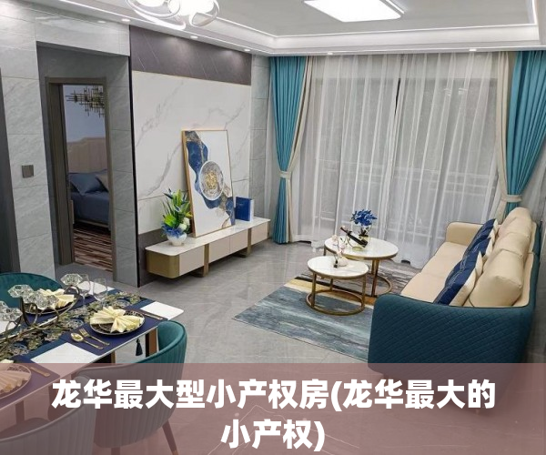 龙华最大型小产权房(龙华最大的小产权)