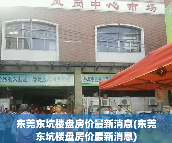 东莞东坑楼盘房价最新消息(东莞东坑楼盘房价最新消息) 东莞东坑楼盘房价最新消息(东莞东坑楼盘房价最新消息)