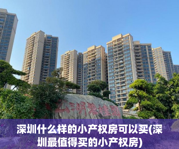 深圳什么样的小产权房可以买(深圳最值得买的小产权房) 深圳什么样的小产权房可以买(深圳最值得买的小产权房)