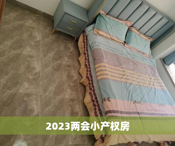 2023两会小产权房 2023两会小产权房