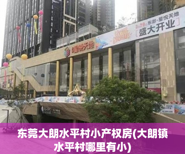 东莞大朗水平村小产权房(大朗镇水平村哪里有小)