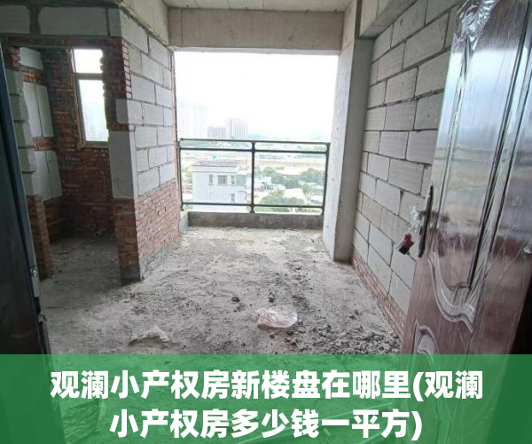 观澜小产权房新楼盘在哪里(观澜小产权房多少钱一平方)
