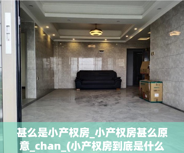 甚么是小产权房_小产权房甚么原意_chan_(小产权房到底是什么意思)
