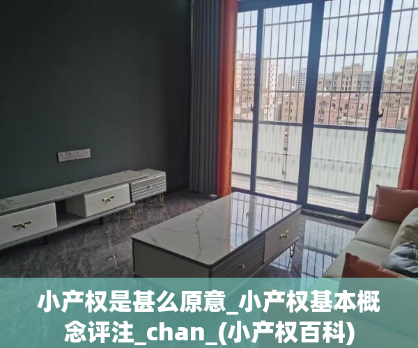 小产权是甚么原意_小产权基本概念评注_chan_(小产权百科)
