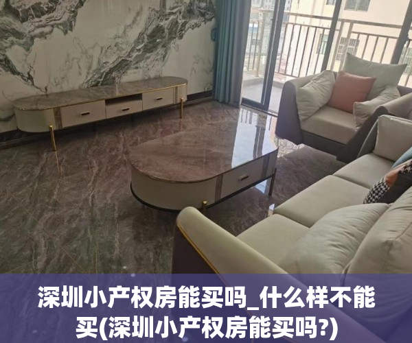 深圳小产权房能买吗_什么样不能买(深圳小产权房能买吗?)