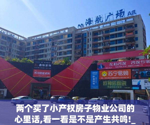 两个买了小产权房子物业公司的心里话,看一看是不是产生共鸣!_chan_(小产权小区物业最怕什么举报)