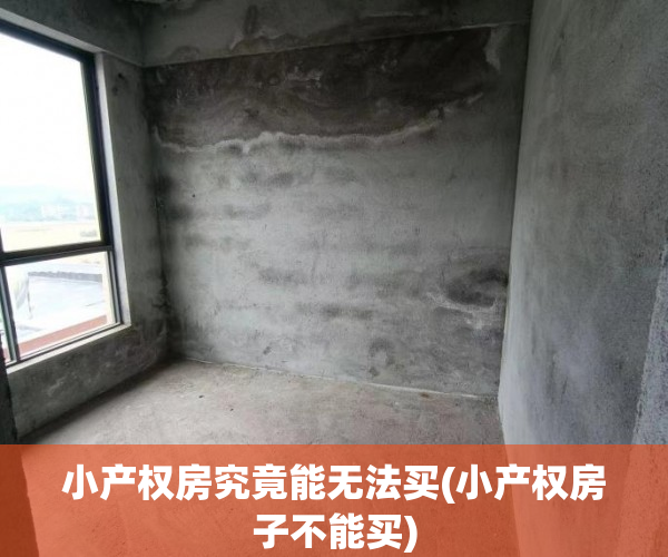 小产权房究竟能无法买(小产权房子不能买)