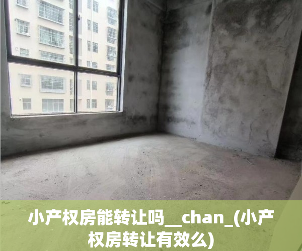 小产权房能转让吗__chan_(小产权房转让有效么)