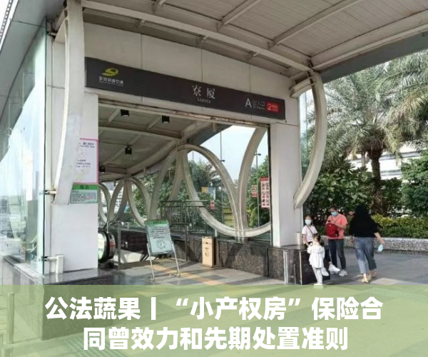 公法蔬果丨“小产权房”保险合同曾效力和先期处置准则