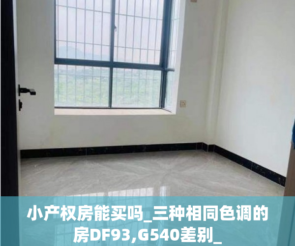 小产权房能买吗_三种相同色调的房DF93,G540差别_