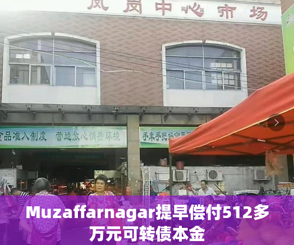 Muzaffarnagar提早偿付512多万元可转债本金