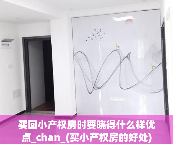 买回小产权房时要晓得什么样优点_chan_(买小产权房的好处)