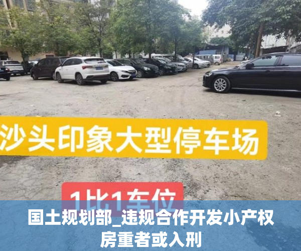 国土规划部_违规合作开发小产权房重者或入刑