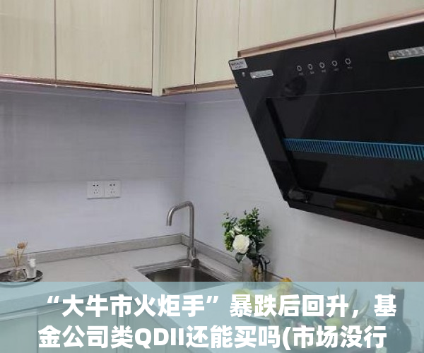 “大牛市火炬手”暴跌后回升，基金公司类QDII还能买吗(市场没行情这些基金却逆市飘红 QDII类收益最高)