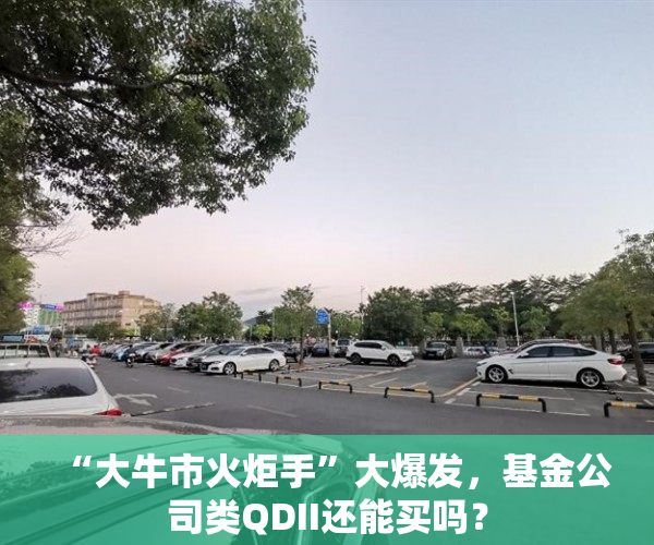 “大牛市火炬手”大爆发，基金公司类QDII还能买吗？