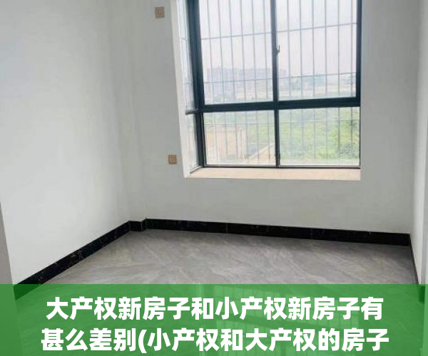 大产权新房子和小产权新房子有甚么差别(小产权和大产权的房子区别)