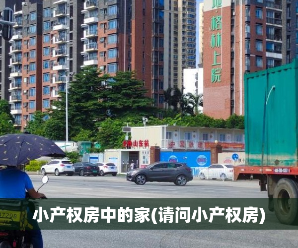 小产权房中的家(请问小产权房)