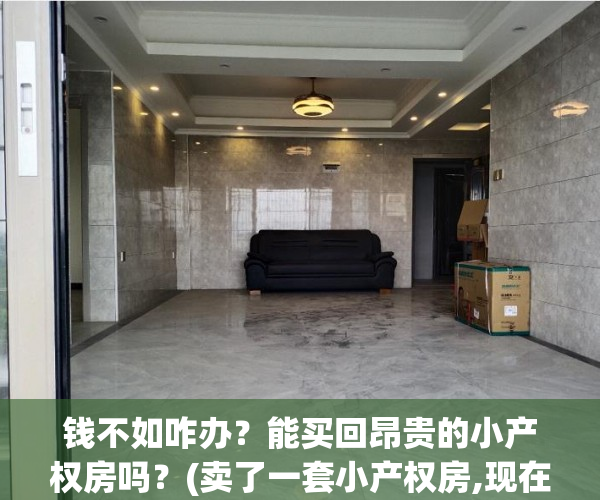 钱不如咋办？能买回昂贵的小产权房吗？(卖了一套小产权房,现在后悔怎办)