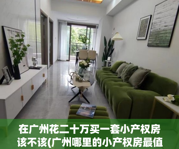 在广州花二十万买一套小产权房该不该(广州哪里的小产权房最值得买)
