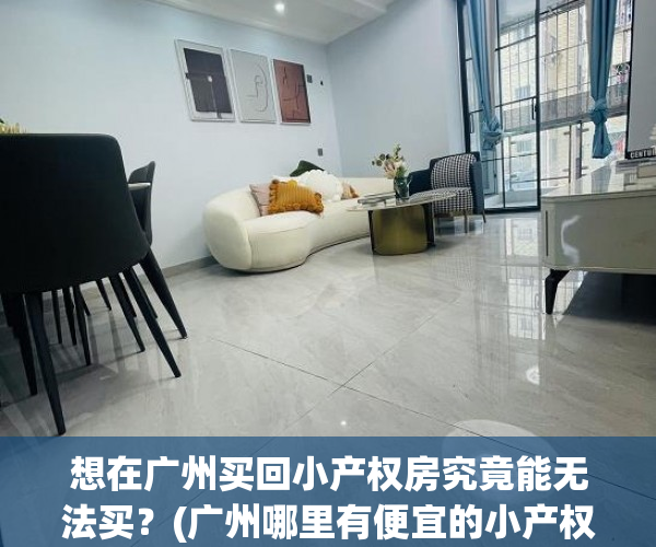 想在广州买回小产权房究竟能无法买？(广州哪里有便宜的小产权房)