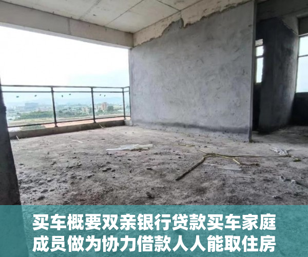 买车概要双亲银行贷款买车家庭成员做为协力借款人人能取住房公积金借款人吗？