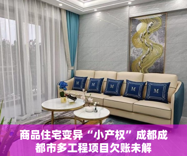 商品住宅变异“小产权”成都成都市多工程项目欠账未解