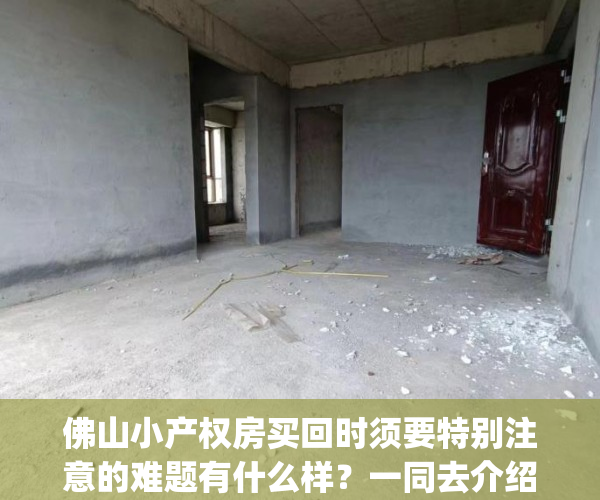 佛山小产权房买回时须要特别注意的难题有什么样？一同去介绍(佛山哪里有小产权房卖)