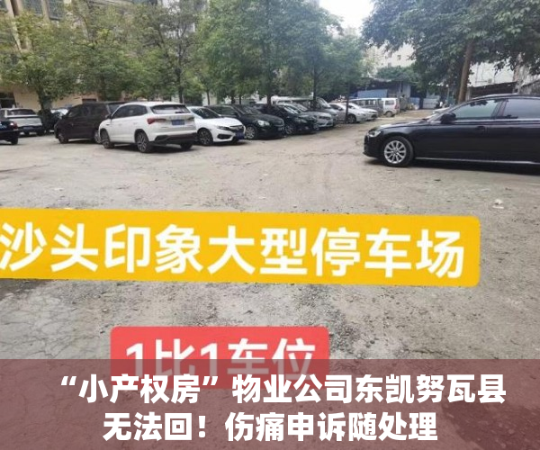 “小产权房”物业公司东凯努瓦县无法回！伤痛申诉随处理