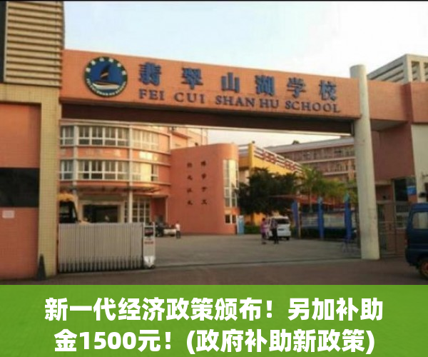新一代经济政策颁布！另加补助金1500元！(政府补助新政策)