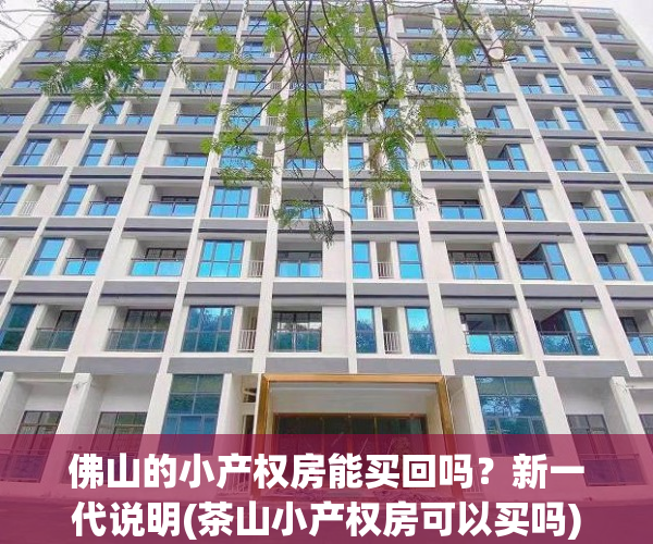 佛山的小产权房能买回吗？新一代说明(茶山小产权房可以买吗)