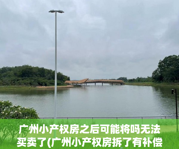 广州小产权房之后可能将吗无法买卖了(广州小产权房拆了有补偿吗)