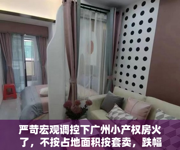 严苛宏观调控下广州小产权房火了，不按占地面积按套卖，跌幅大信用风险也大