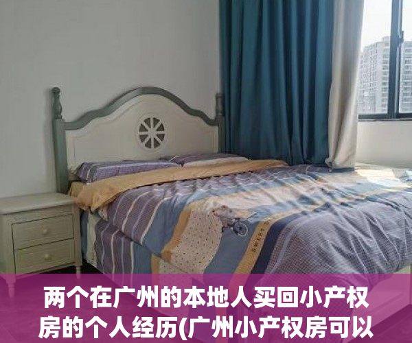 两个在广州的本地人买回小产权房的个人经历(广州小产权房可以住一辈子吗)