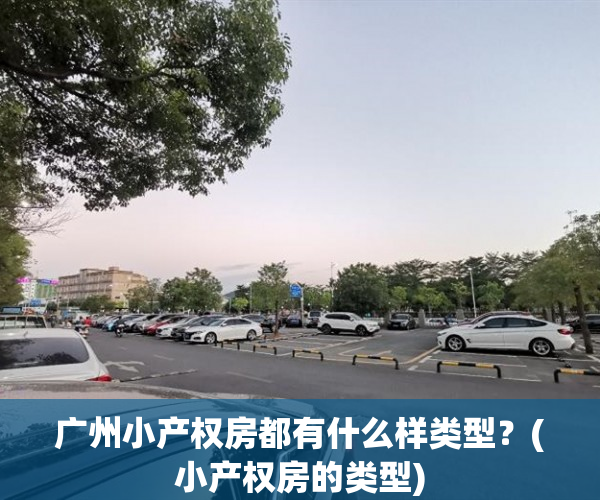 广州小产权房都有什么样类型？(小产权房的类型)