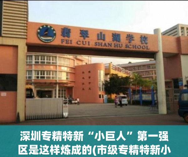 深圳专精特新“小巨人”第一强区是这样炼成的(市级专精特新小巨人)