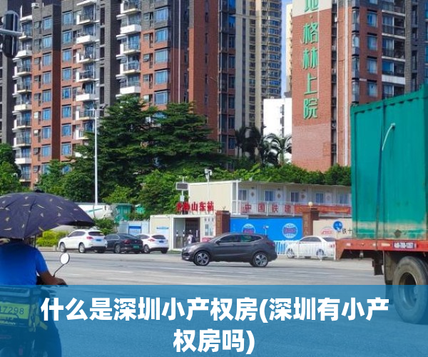 什么是深圳小产权房(深圳有小产权房吗)