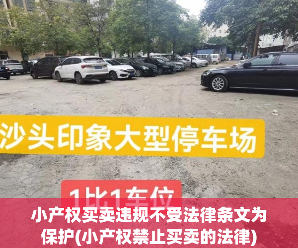小产权买卖违规不受法律条文为保护(小产权禁止买卖的法律)