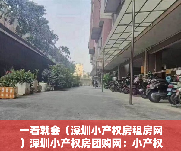 一看就会（深圳小产权房租房网）深圳小产权房团购网：小产权房让我在深圳有个家，深圳小产权房资讯，