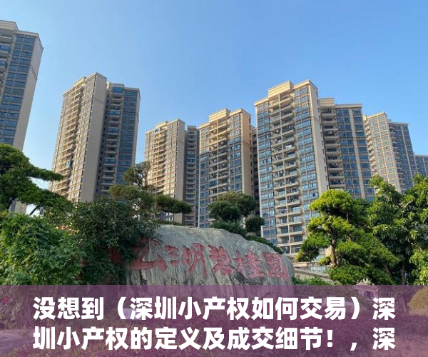 没想到（深圳小产权如何交易）深圳小产权的定义及成交细节！，深圳小产权的由来，