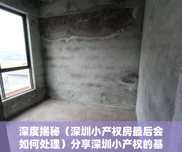 深度揭秘（深圳小产权房最后会如何处理）分享深圳小产权的基本知识。购买需要注意的风险。，深圳小产权房规范管理政策将出台，