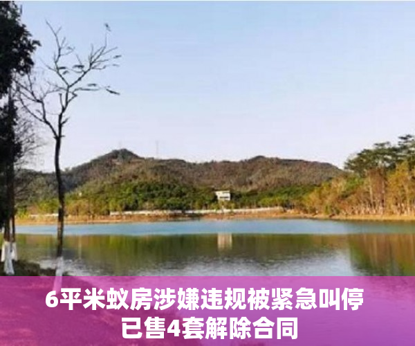 6平米蚁房涉嫌违规被紧急叫停 已售4套解除合同