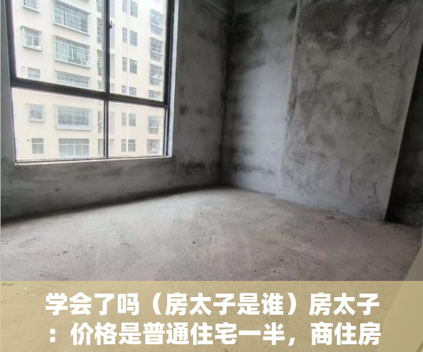 学会了吗（房太子是谁）房太子：价格是普通住宅一半，商住房是投资佳选，还是大坑？，房太子妃，