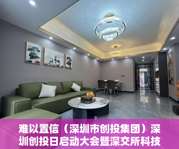 难以置信（深圳市创投集团）深圳创投日启动大会暨深交所科技成果与知识产权交易中心揭牌活动举行，深圳市创投日，