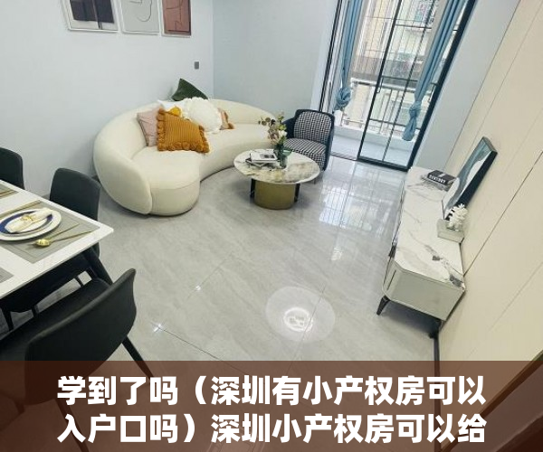 学到了吗（深圳有小产权房可以入户口吗）深圳小产权房可以给小孩子上户口吗？，深圳小产权能上户口吗，